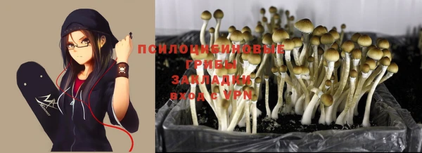 spice Надым