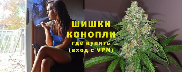spice Надым