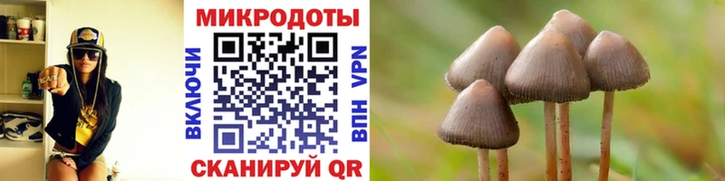 Псилоцибиновые грибы Psilocybe  Ряжск 